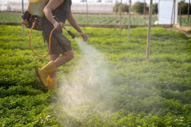Best Mosquito Control Services  in Selma, AL