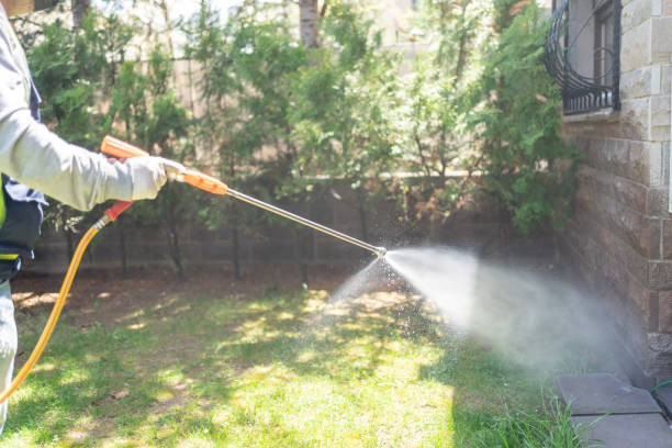 Best Flea Control Services  in Selma, AL
