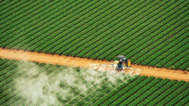 Best Mosquito Control Services  in Selma, AL