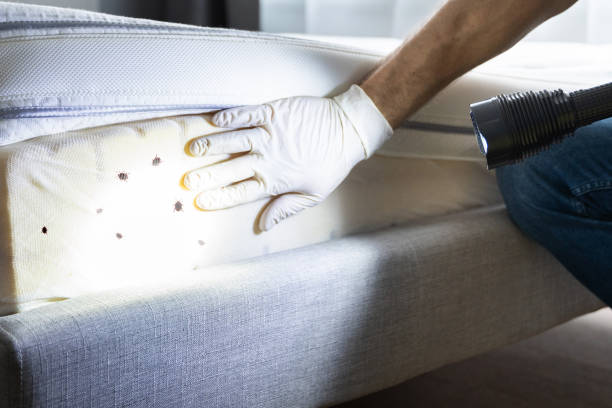 Best Pest Control Near Me  in Selma, AL
