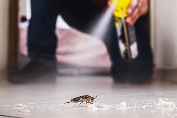 Best Cockroach Control Services  in Selma, AL