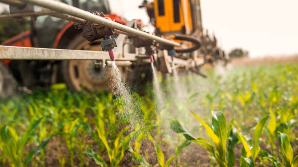 Best Commercial Pest Control Services  in Selma, AL
